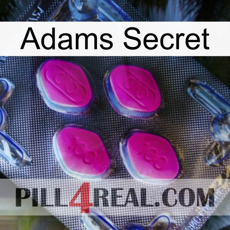 Adams Secret 02